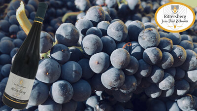 Pinot noir grande réserve 2017