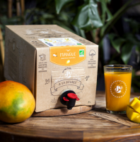 Jus de mangue bio - nectar artisanal