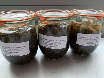 Verrine de 10 douzaines cb