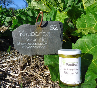 Confiture rhubarbe - achat solidaire