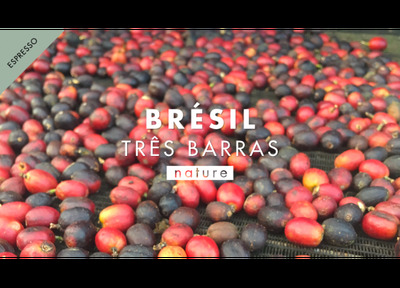 Café grain brésil