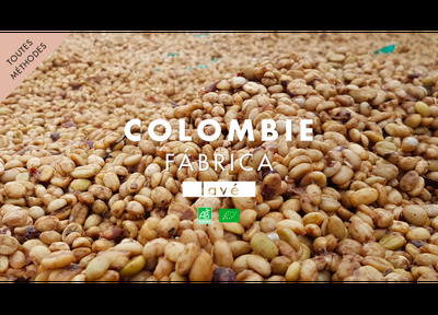 Café grain colombie