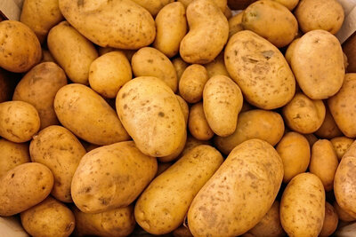 Pomme de terre 10kg