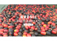 Café moulu brésil (mouture filtre)