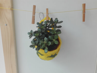 Sac de plante jaune avec plante