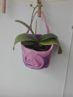 Sac de plante rose et violet avec pl