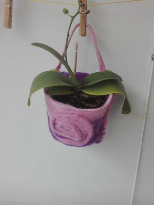Sac de plante rose et violet avec pl