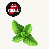 Crème glacée menthe s'chleck