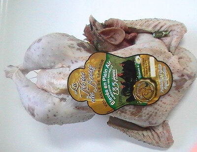 Poulet noir du berry