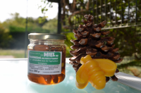 Miel de tournesol et amandes bio