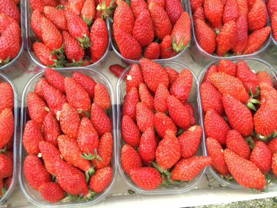 Fraises
