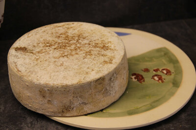 1 tomme montagne