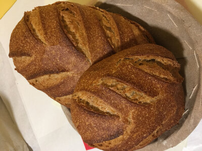 Pain d'épeautre