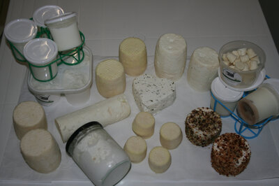 Plateau de fromages du moment