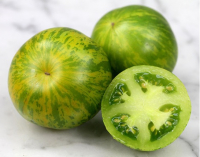 Plant tomate green zebra godet 7 cm