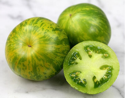 Plant tomate green zebra godet 7 cm