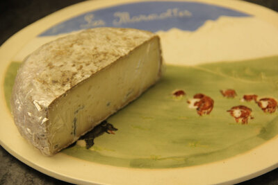 1/2 bleu de solaison