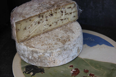 1 tomme fenouil