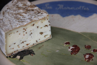 1/4 tomme fenouil