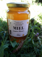 Miel polyfloral de sévérac