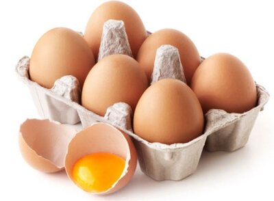 Oeufs 100% sans ogm