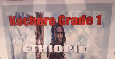 Kochere d’éthiopie grade 1