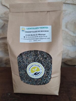 Lentilles vertes