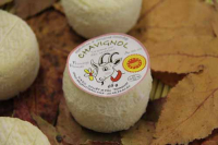 Crottin de chavignol demi-sec