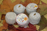 Crottin de chavignol bleu