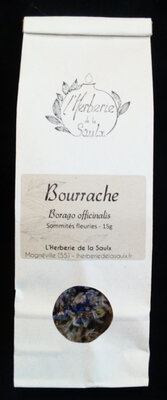 Bourrache