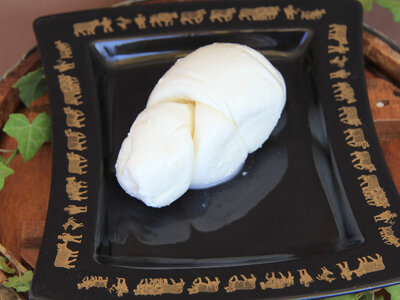 Mozzarella di bufala tressée