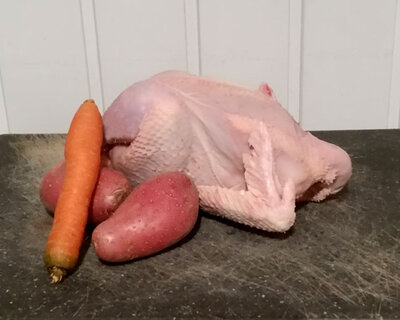 Coquelet