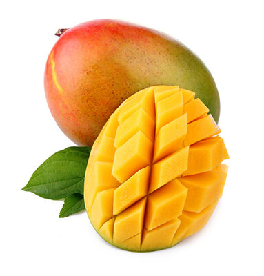 Sorbet mangue