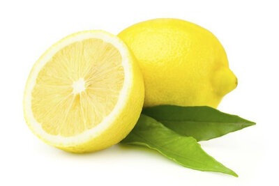 Sorbet yaourt citron