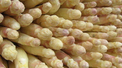 Pointes d’asperges