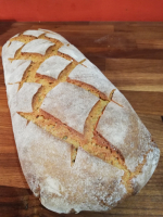 Pain au petit épeautre/engrain 1kg