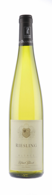 Riesling 2024