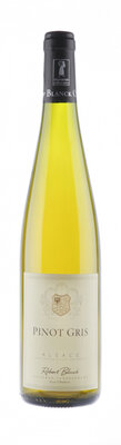 Pinot gris 2025