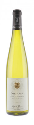 Sylvaner vieilles vignes 2023