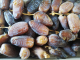 Dattes deglet nour - image 2