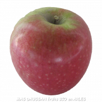 2kg pommes cripps red