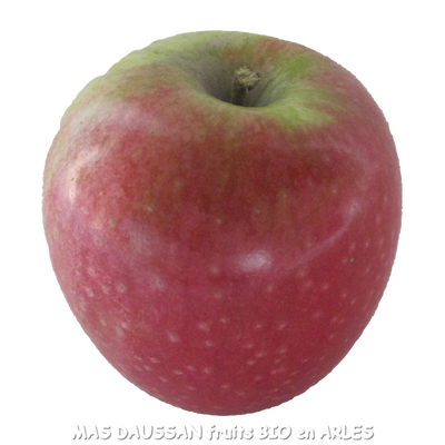 2kg pommes cripps red