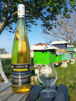 Hydromel au miel de la champagne