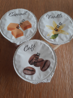 Lot de 2. yaourt aromatisé caramel
