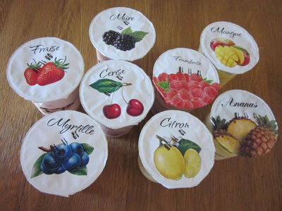 Lot de 2. yaourt aux fruits myrtille