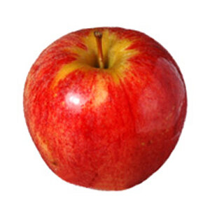 Pomme gala bio