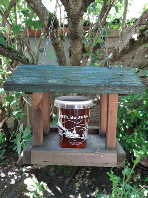 Miel du jura - sapin - 1kg