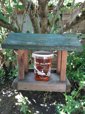 Miel du jura - forêt - 1kg