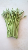 Asperges des bois
