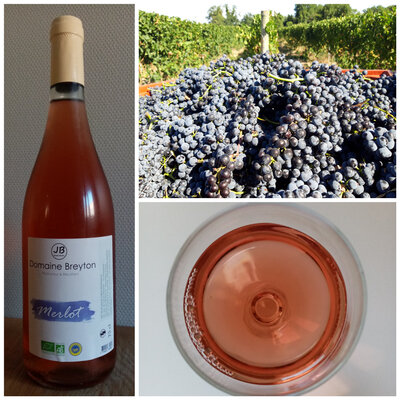 Rosé : offre 3 bouteilles de merlot